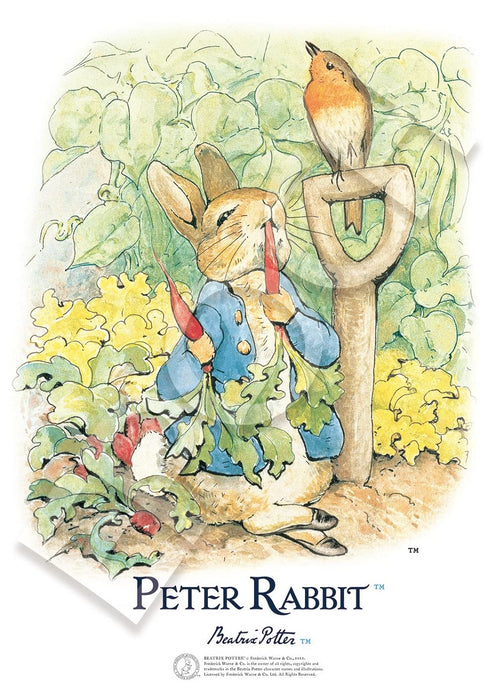 Puzzle 216 pièces Peter Rabbit Oeuvres de Beatrix Potter™ Peter Rabbit™ et Robin Petites pièces (18,2 x 25,7 cm)