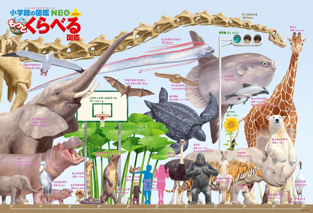 Beverly Puzzle B61-418 Comparaison de l'encyclopédie des grands animaux (1000 pièces) Puzzle animalier