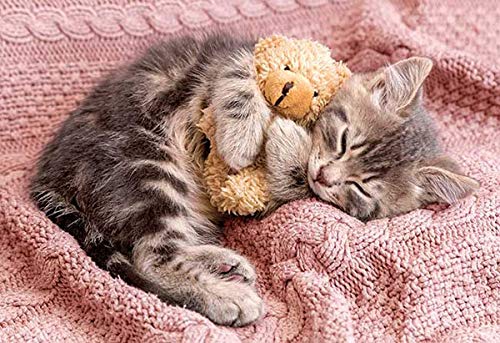 APPLEONE 300-356 Jigsaw Puzzle Napping Kitten With Teddy Bear 300 Pieces