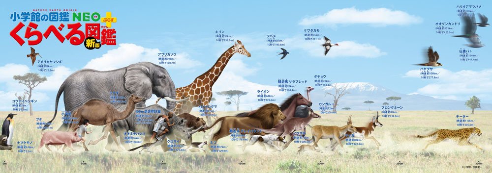 BEVERLY Jigsaw Puzzle 33-129 The Animal Book Speed Comparison In Running And Flying  352 Pieces