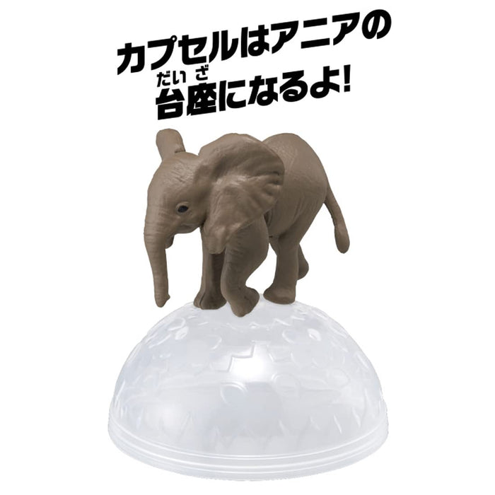 TAKARA TOMY Ania Ac-02 bébé éléphant