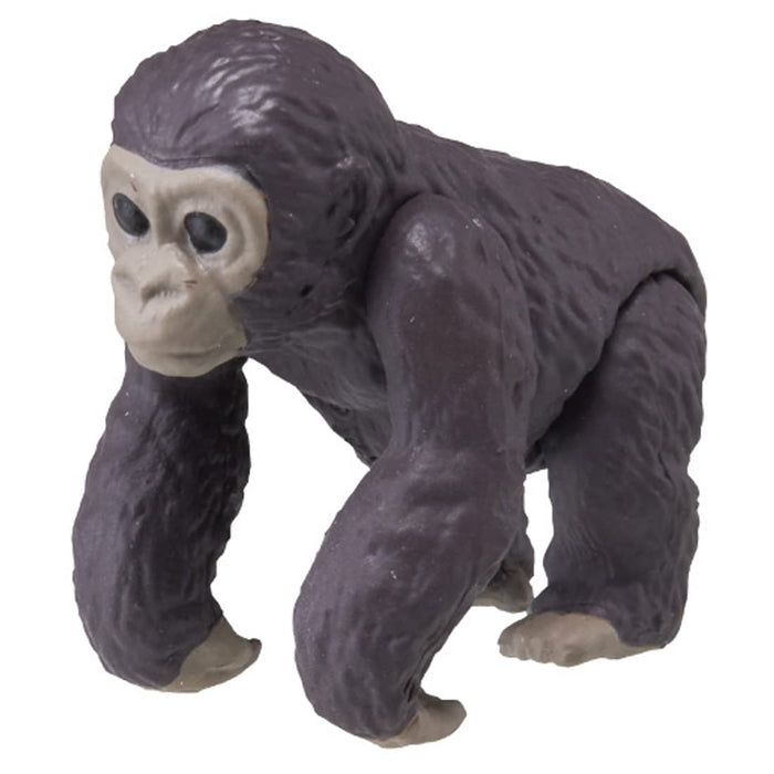 TAKARA TOMY Ania Ac-03 Gorillababy