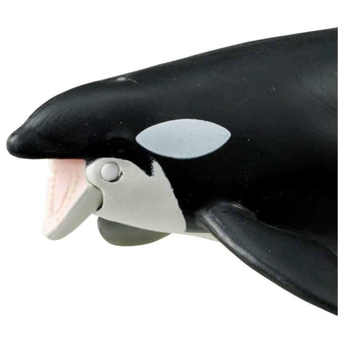 TAKARA TOMY Al-08 Animal Adventure Killer Whale Figure flottante pour parents et enfants