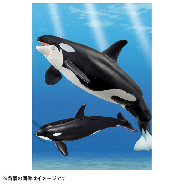 TAKARA TOMY Al-08 Animal Adventure Killer Whale Parent And Child Floating Version Figure