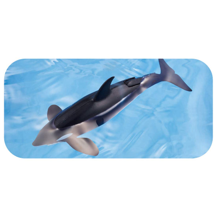 Orca, Killer Whale, Children's Plastic Drinking Cup, Green 3 - F649G B128