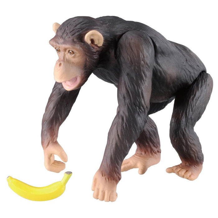 TAKARA TOMY As-14 Animal Adventure Figurine Chimpanzé