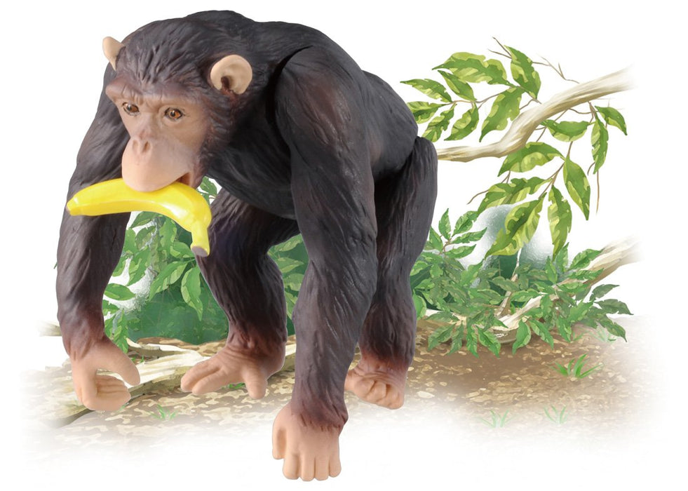 TAKARA TOMY As-14 Animal Adventure Figurine Chimpanzé