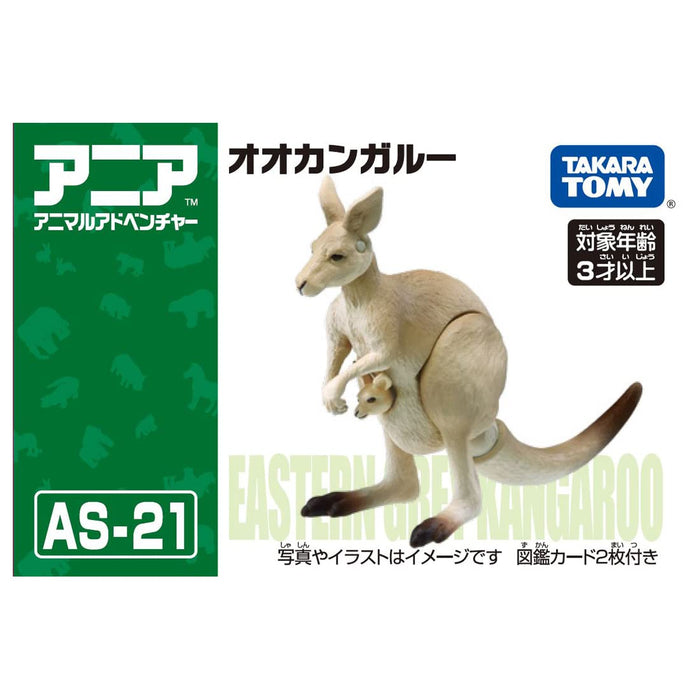 TAKARA TOMY Ania As-21 Kangourou gris de l'Est