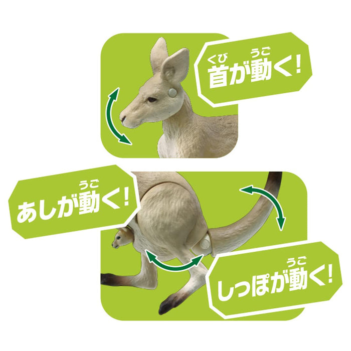 TAKARA TOMY Ania As-21 Eastern Grey Kangaroo