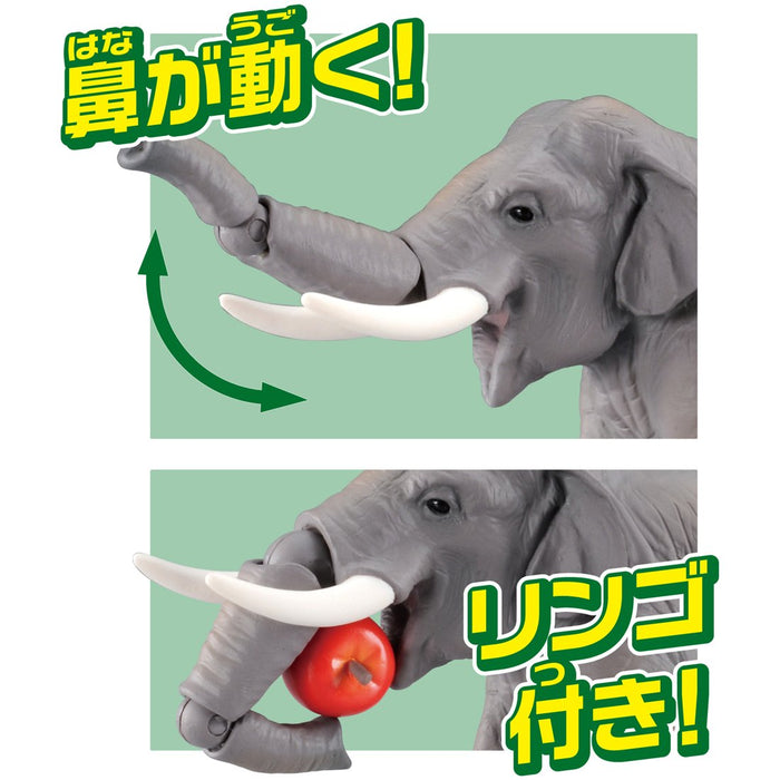 TAKARA TOMY As-33 Animal Adventure Asiatischer Elefant Figur