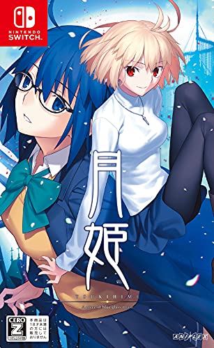 Aniplex Tsukihime A Piece Of Blue Glass Moon For Nintendo Switch - New Japan Figure 4534530130518