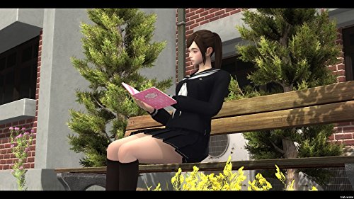 Arc System Works White Day A Labyrinth Named School Sony Ps4 Playstation 4 d'occasion