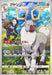 Ayashi - 070/067 S9A - BC - MINT - Pokémon TCG Japanese Japan Figure 33694-BC070067S9A-MINT
