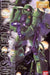 Bandai Mg 1/100 Ms-06f/s Zaku Ii Plastic Model Kit Mobile Suit Gundam - Japan Figure