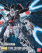 Bandai Mg 1/100 Strike Freedom Gundam Kunio Okawara Exhibition Ver Model Kit - Japan Figure