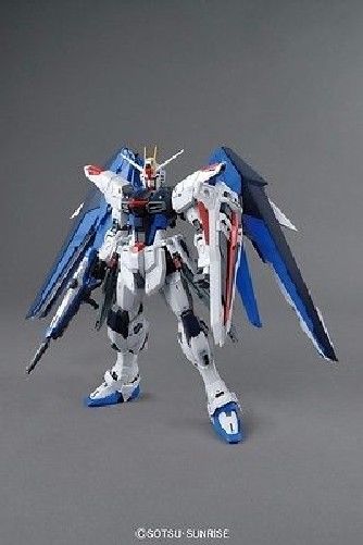 Bandai Mg 1/100 Zgmf-10a Freedom Gundam Ver 2.0 Maquette Plastique Japon