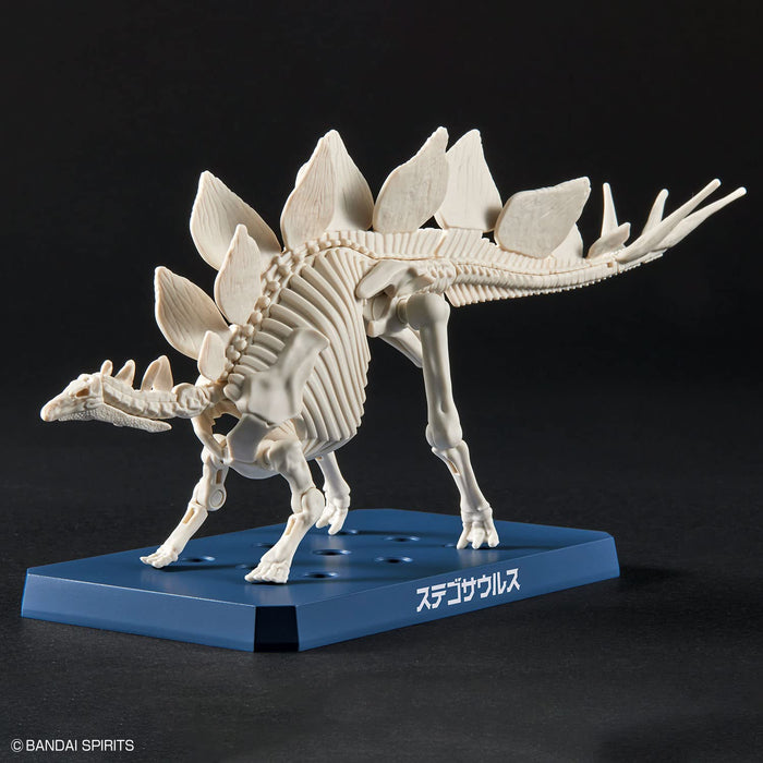 Bandai Spirits Planosaurus Stegosaurus Model