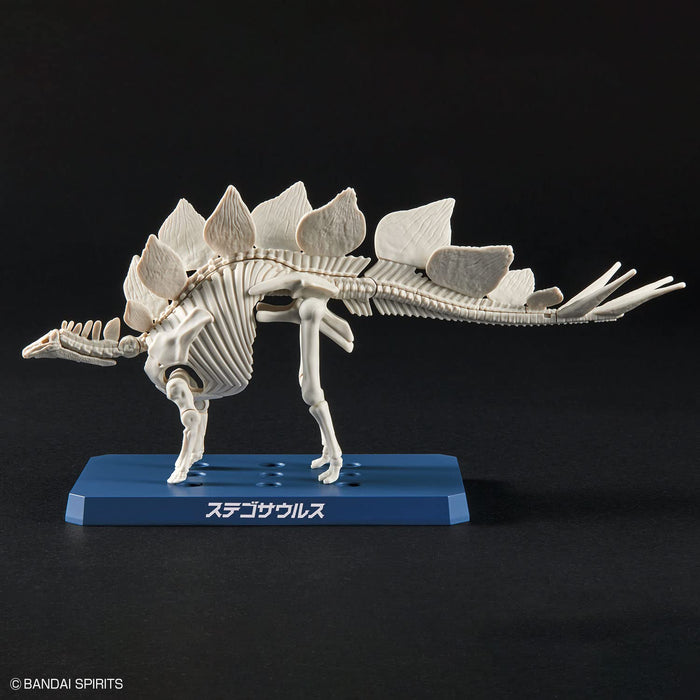 Bandai Spirits Planosaurus Stegosaurus Model