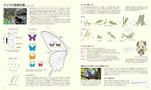 Schönheits-Schmetterlings-Bilderbuch-Kunstbuch
