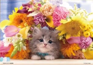 Beverly P108-844 Jigsaw Puzzle Kitten Surrounded By Flowers (108 Pieces) Animal Puzzle