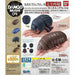 Capsule Toy Pill Bugs 04 Pill Bugs And Round Beetle All 4 Sets Full Comp - Japan Figure
