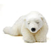 Carolata Corporation Real Plush Toy Polar Bear Sleeping / Parent - Japan Figure