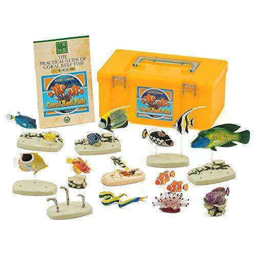 Colorata Real Figure Box Set 15 Pcs Coral Reef Fish PVC from Japan Figure