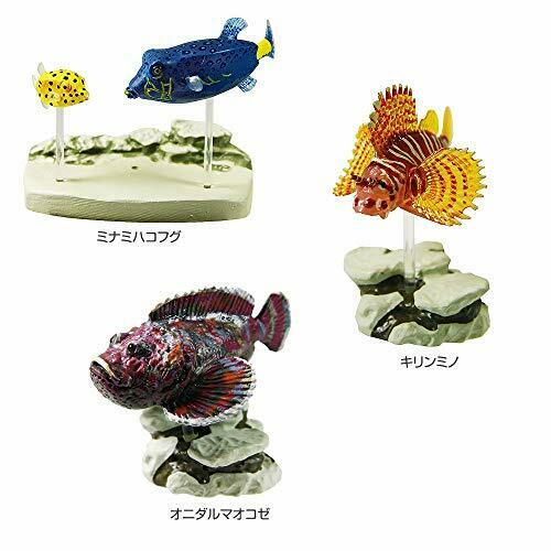 Colorata Real Figure Box Set 15 Pcs Coral Reef Fish PVC du Japon Figure