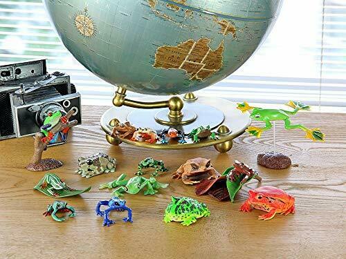 Colorata Real Figure Box The Plactical Guide Of Frogs
