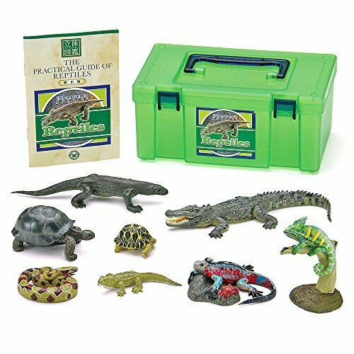 Colorata Real Figure Endangered Species Reptiles Box