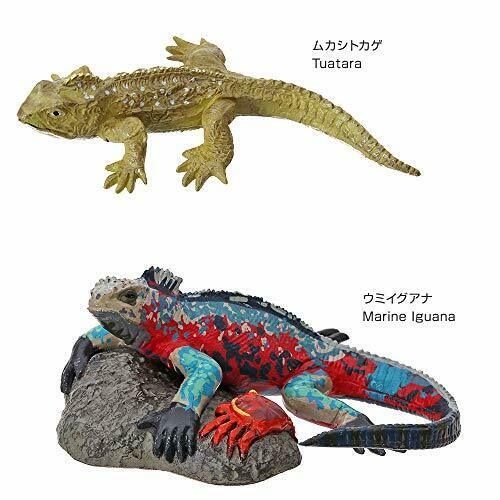 Boîte de reptiles d'espèces menacées d'extinction de figurines réelles Colorata