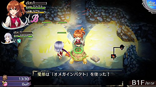 D3 Publisher Omega Labyrinth Z Ps Vita Sony Playstation - New Japan Figure 4527823998216 2
