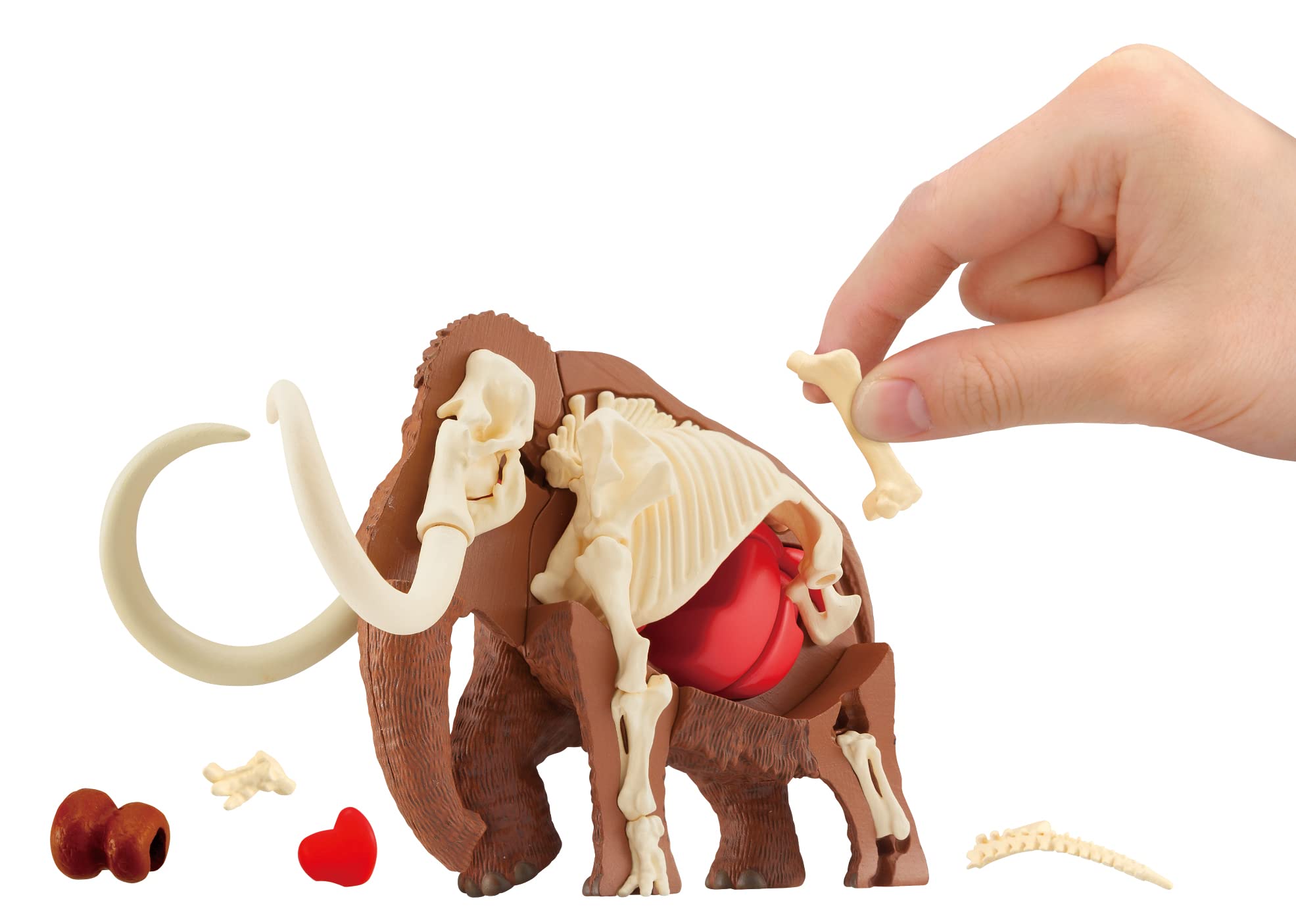 Megahouse Mammoth Kaitai Puzzle Series Buy Japanese Self-Assembly Animal Puzzle- Japan Figure Store - #1 Bring To You The Best Japanese Goods