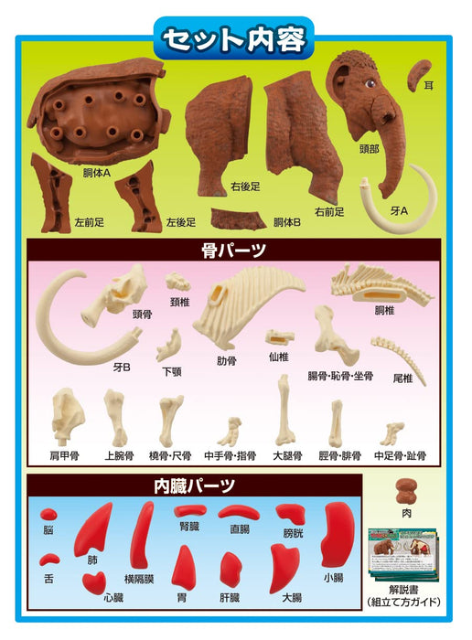 Megahouse Mammoth Kaitai Puzzle Series Acheter un puzzle d'animaux japonais à monter soi-même