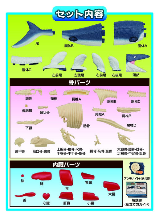 Megahouse Mammoth Mosasaurus Kaitai Puzzle Series Kaufen Sie Tierpuzzle Made In Japan