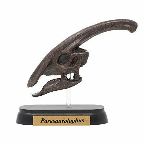 Dinosaur Parasaurolophus Skull Mini Model Fdw-504