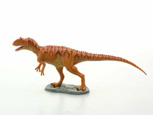 Dinosaur Pvc Figure Allosaurus Fdw-006 W3.5 X H8 X L21 Cm