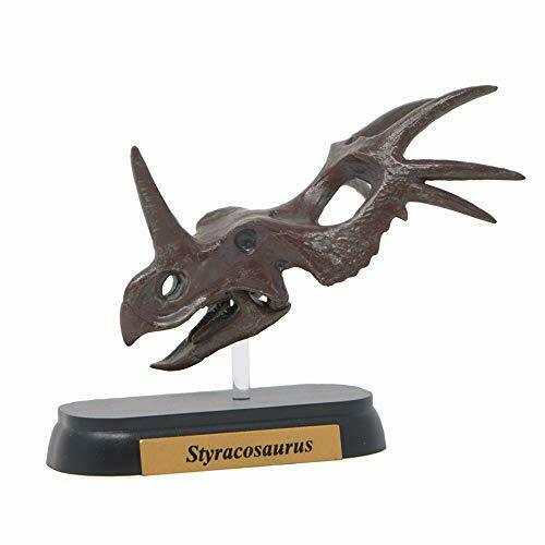 Dinosaur Styracosaurus Skull Mini Model Fdw-507 - Japan Figure
