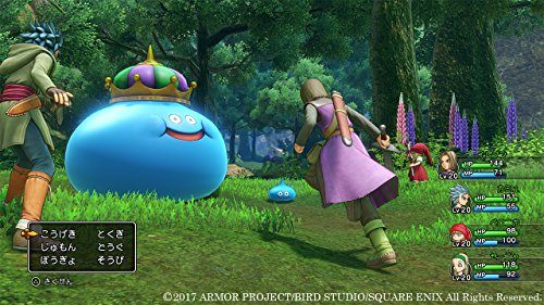 Dragon Quest Xi Sugisarishi Toki O Motomete Playstation Ps4 Square Enix New