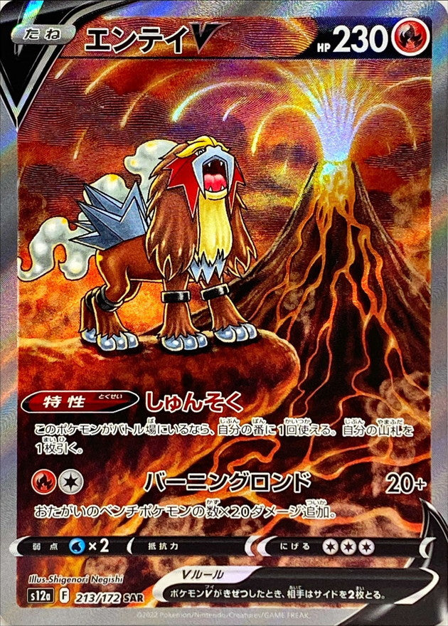 Raikou V - 218/172 [状態A-]S12A - SAR - NEAR MINT - Pokémon TCG Japanese