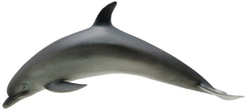 Favorite Bottlenose Dolphin FM905