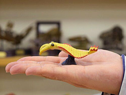 Favorite Cambrian Creatures Mini Model Burgess Series Dinosaur Figure 9set- Japan Figure Store - #1 Bring To You The Best Japanese Goods
