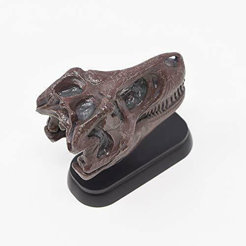 Favorite Dinosaur Skull 12 Set Mini Model Figure Designed By Hirokazu Tokugawa