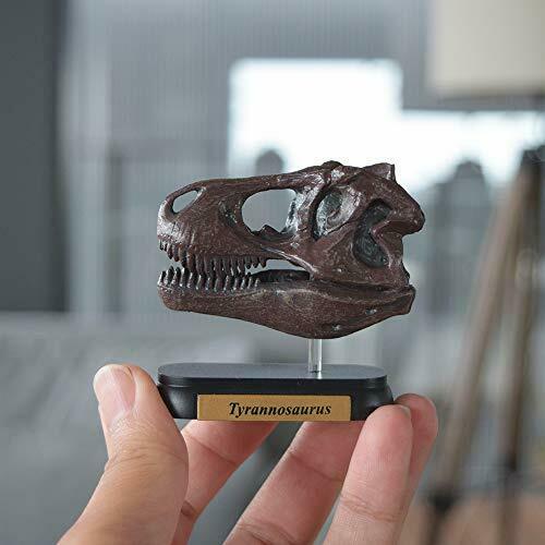 Favorite Dinosaur Skull 12 Set Mini Model Figure Designed By Hirokazu Tokugawa