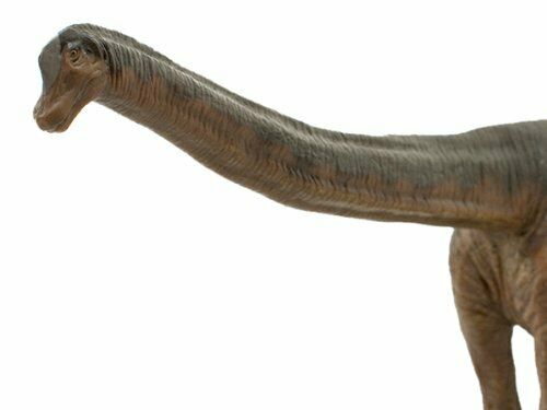 Favorite Dinosaur Soft Model Series Figure Brachiosaurus Fdw-008