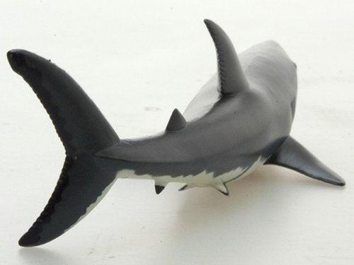 Favorite Fm911 Great White Shark