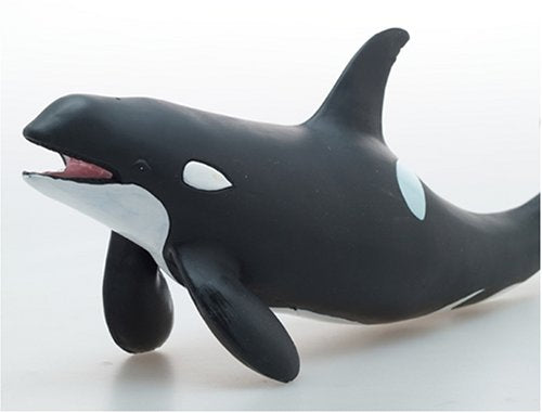 FM-301 Favorite Killer Whale