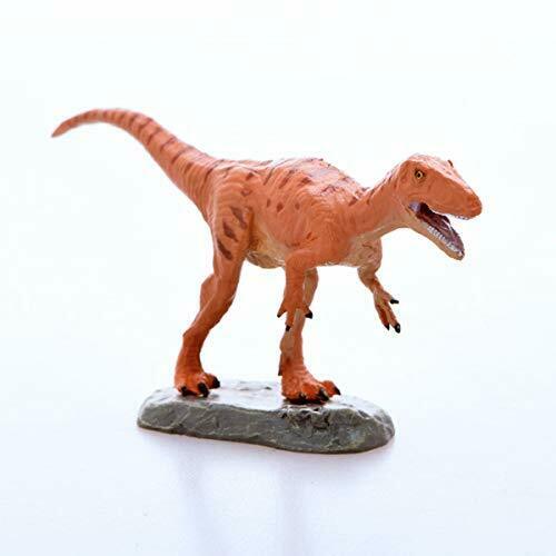 Préféré Kinto Fukui Dinosaur Series Mini modèle Figure conçu par K.araki