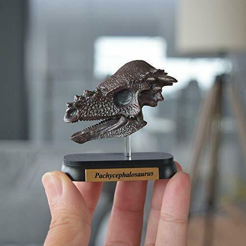 Lieblings-Pachycephalosaurus-Schädel-Dinosaurier-Minimodell, entworfen von H.tokugawa