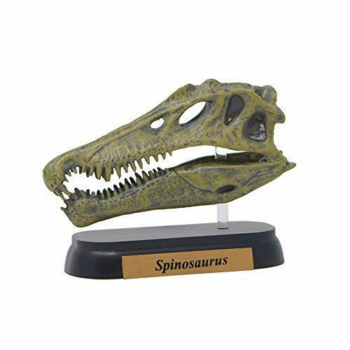 Favorite Spinosaurus Skull Dinosaur Mini Model Figure Designed By H.tokugawa - Japan Figure